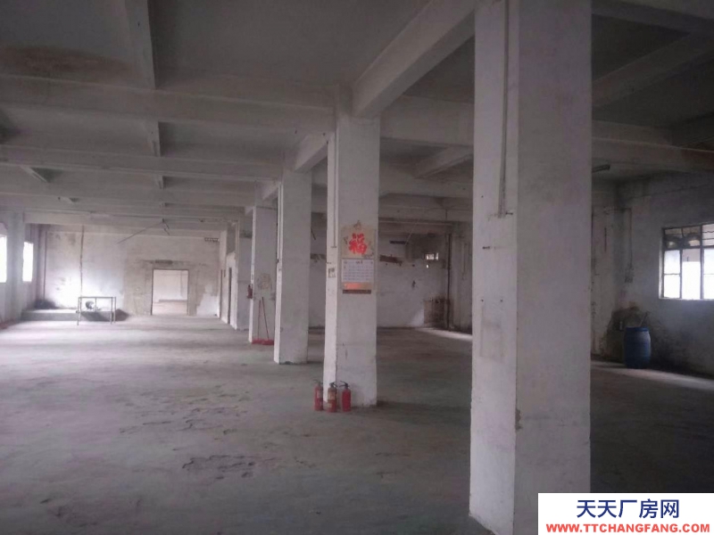 (出租) 海珠區龍潭村420平方7米高可放貨租21000元