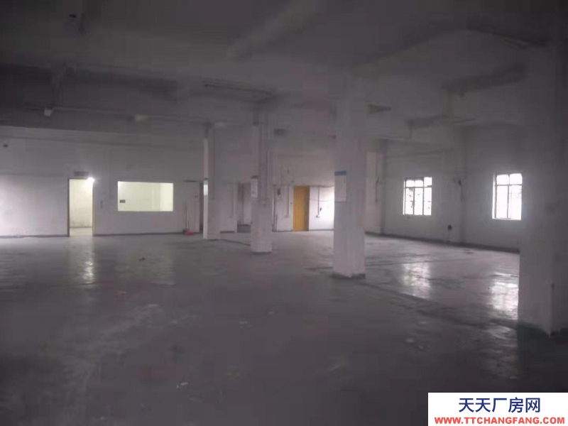 (出租) 海珠區龍潭村720平方每平方50平方可做辦公室