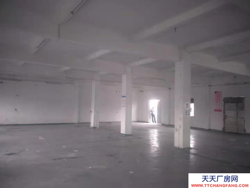 (出租) 海珠區龍潭村720平方每平方50平方可做辦公室