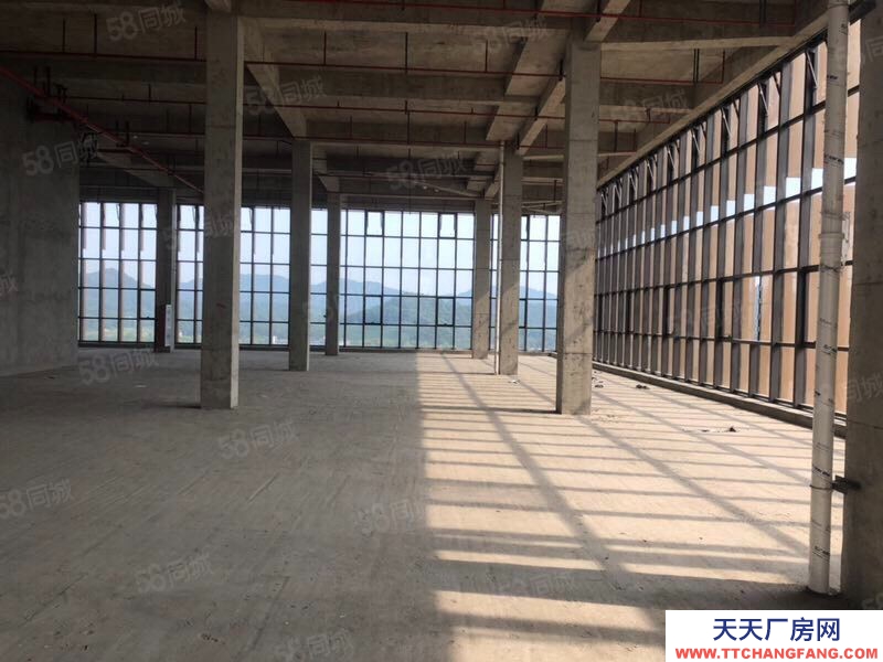 杭州濱江(出租) 整層2000方層高6米可分割,適合創(chuàng)意設(shè)計攝影企業(yè)