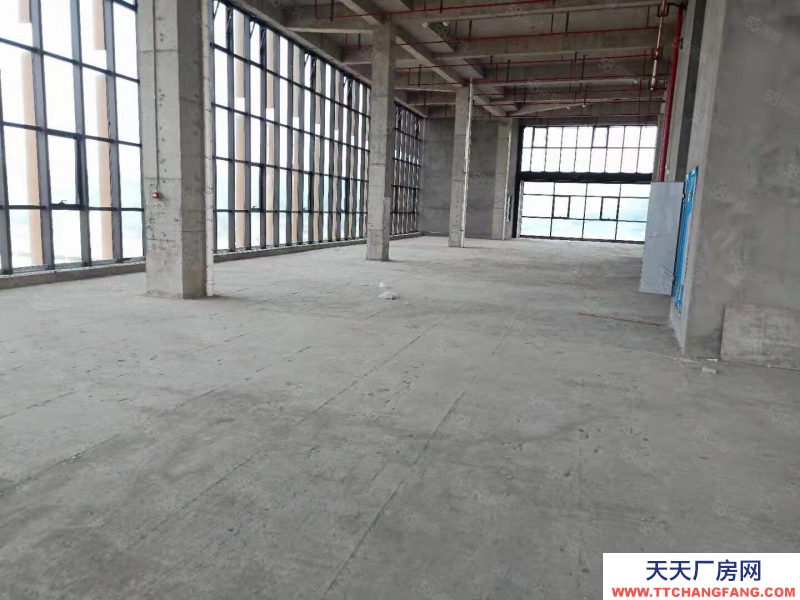 杭州濱江(出租) 整層2000方層高6米可分割,適合創(chuàng)意設(shè)計攝影企業(yè)