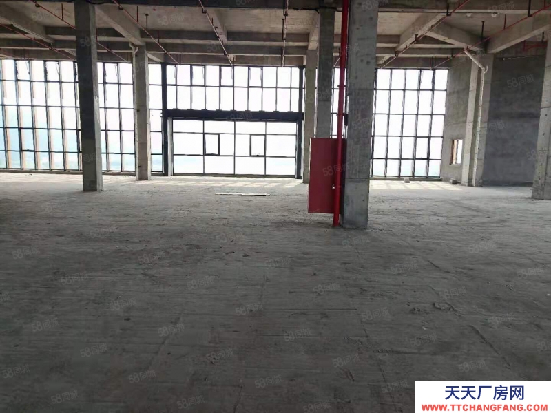 杭州濱江(出租) 整層2000方層高6米可分割,適合創(chuàng)意設(shè)計攝影企業(yè)