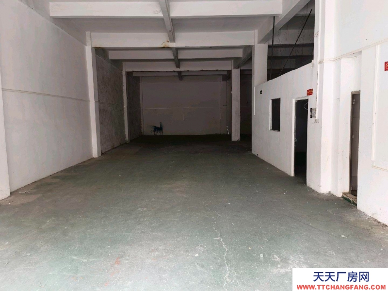 (出租) 廣州海珠區倉庫方正好用沒有管理費