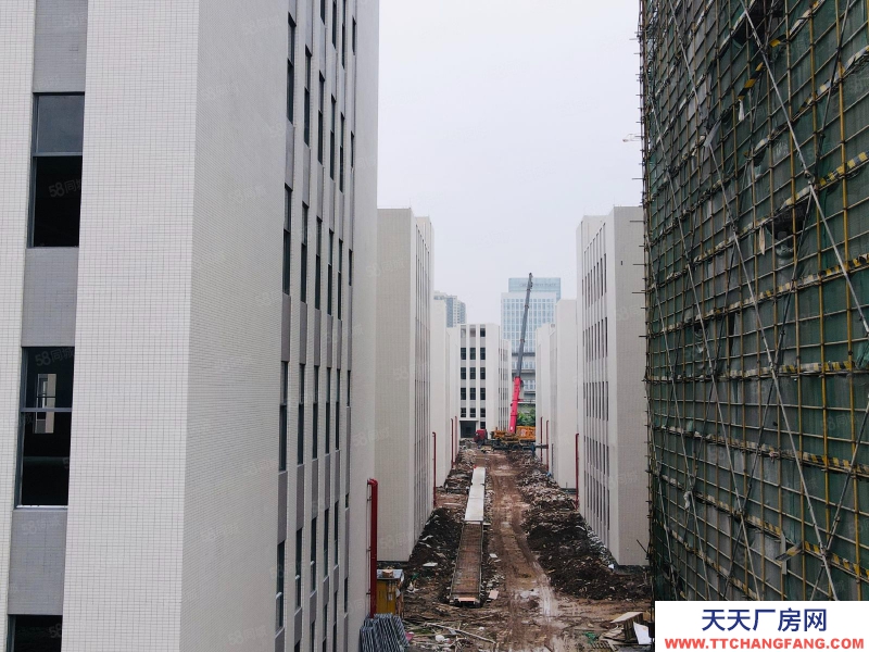 (出售) 獨棟4600方，現樓！國有工業產權廠房 南站6公里