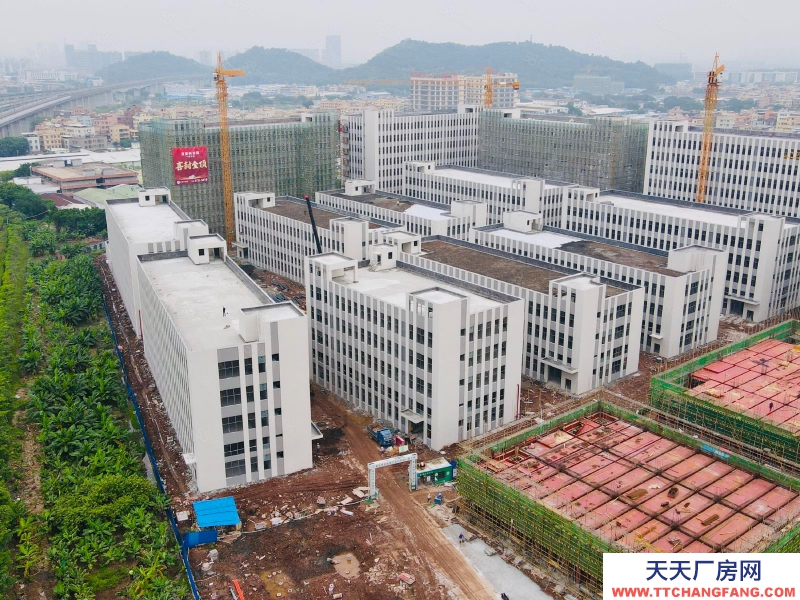 (出售) 獨棟4600方,現樓!國有工業產權廠房 南站6公里