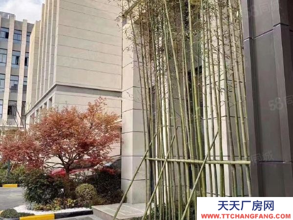 南京市江寧淳化3套特價廠房 4980元每平 先搶先得 兩證全
