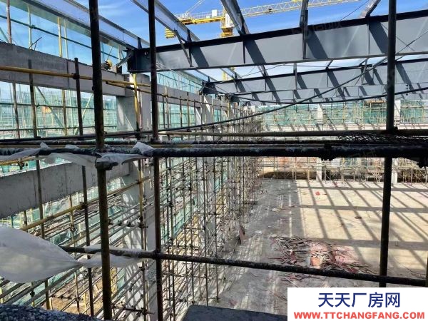 南京市江寧區道邊 標準化廠房 交通便利配套齊全