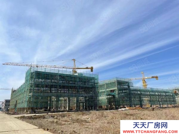 南京市江寧區(qū)道邊 標(biāo)準(zhǔn)化廠房 交通便利配套齊全