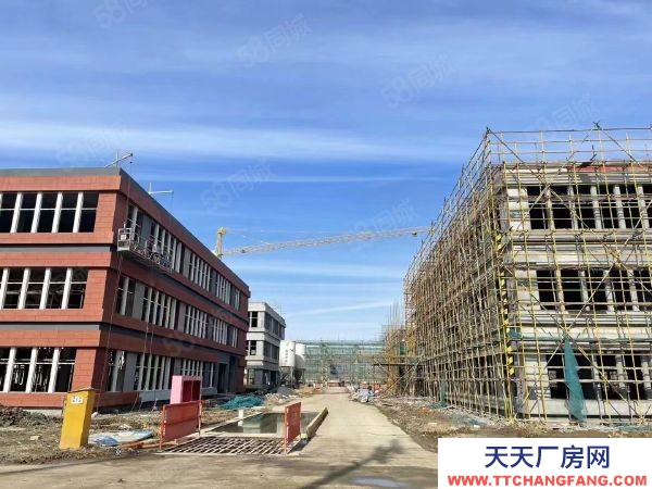 南京市江寧區道邊 標準化廠房 交通便利配套齊全