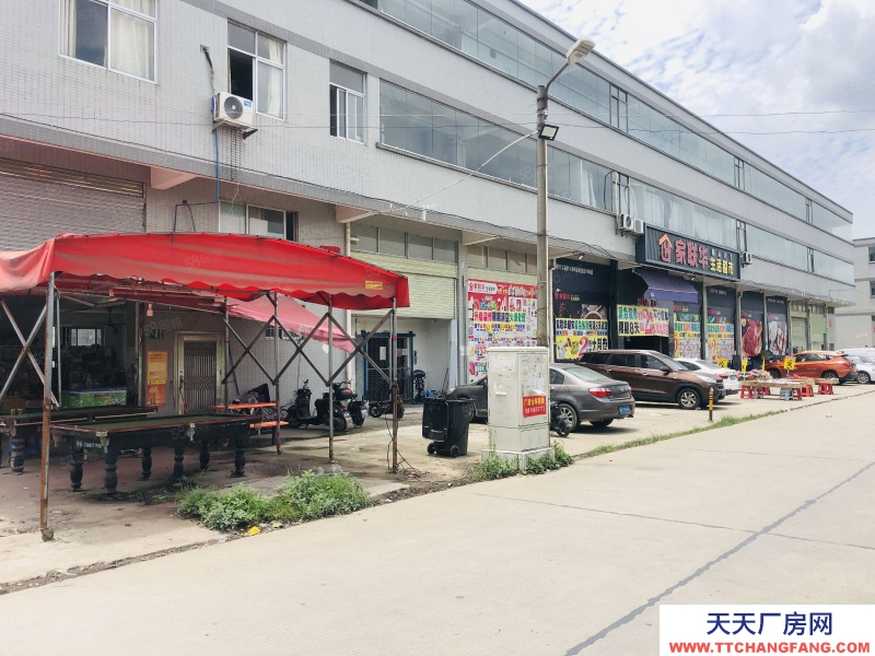 (出租) 花東一樓600方招租二樓350方 廠房可做鋪面門口空地大