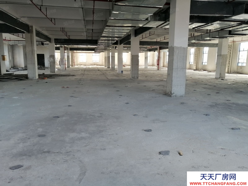 (出租) 花都區新雅街南陽莊獨院標準廠房3500平方出租