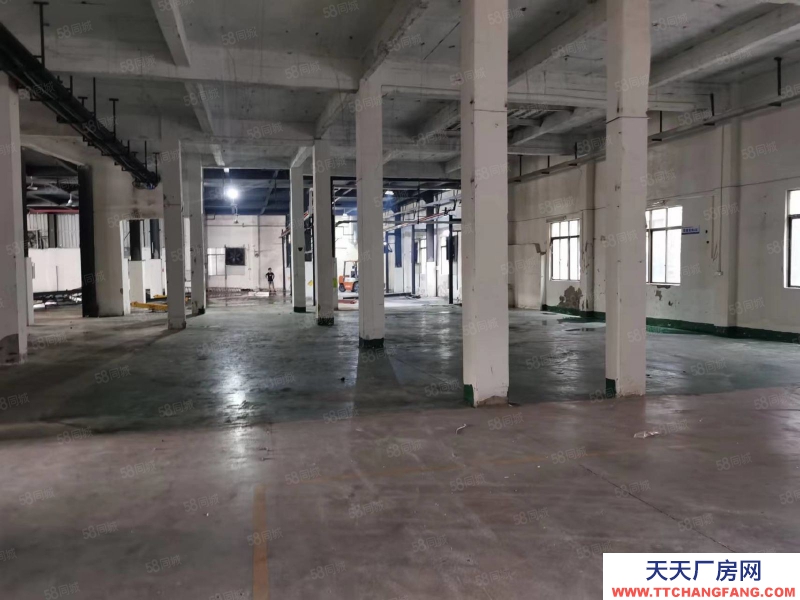 (出租) 花都低價 雅瑤工業區獨門獨院廠房出租,可分租可辦環評