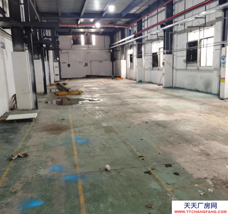 (出租) 花都低價 雅瑤工業區獨門獨院廠房出租,可分租可辦環評