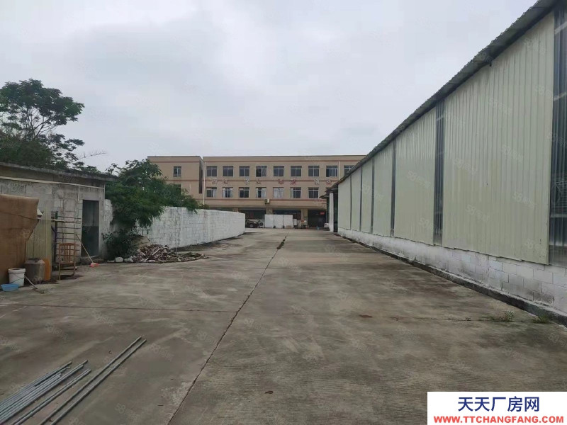 (出租) 花都花東鎮8000房獨門獨院廠房，8米滴水，可辦環評