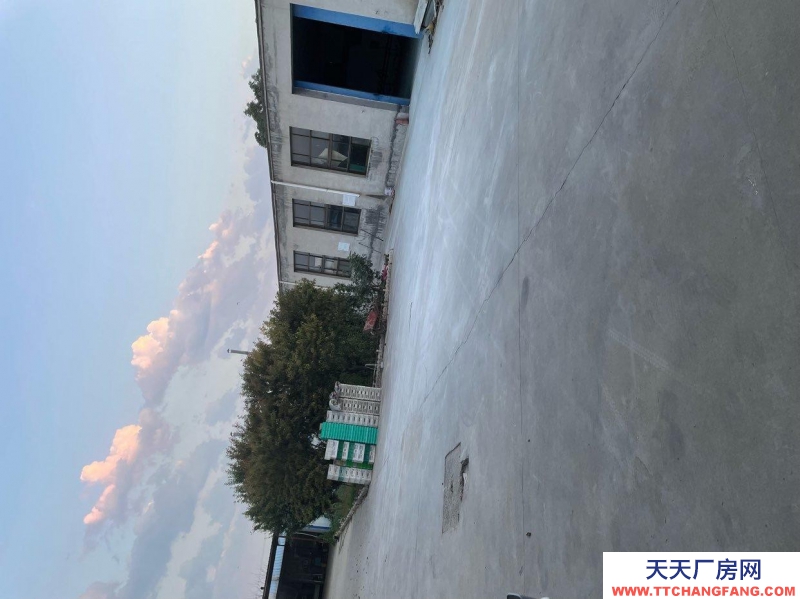 石家莊 正定南牛鄉東賈村村東外環