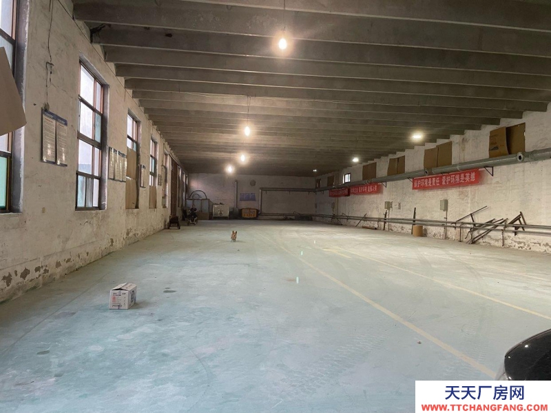 石家莊 正定南牛鄉東賈村村東外環