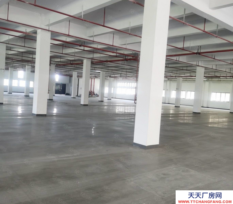 杭州 濱江區(qū)工業(yè)廠房10000方廠房出售