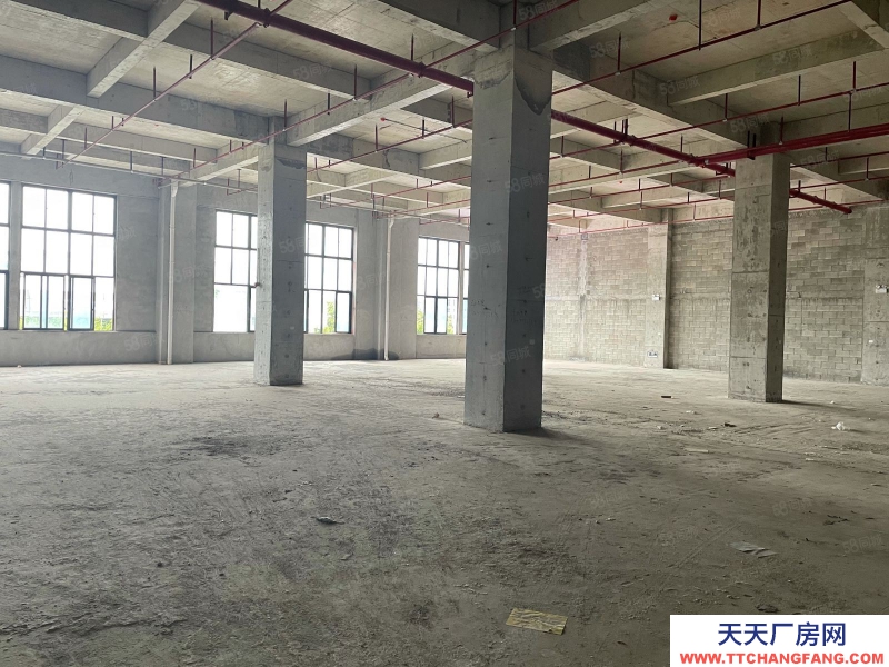 南寧市西鄉塘區(出租) 科銘大廈全新標準廠房租售，價低，用途廣泛