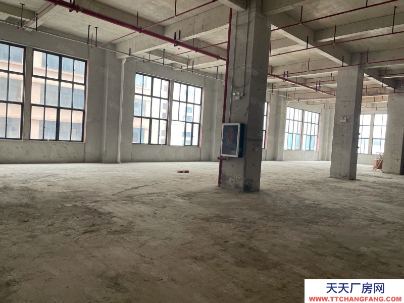 南寧市西鄉塘區(出租) 科銘大廈全新標準廠房租售，價低，用途廣泛