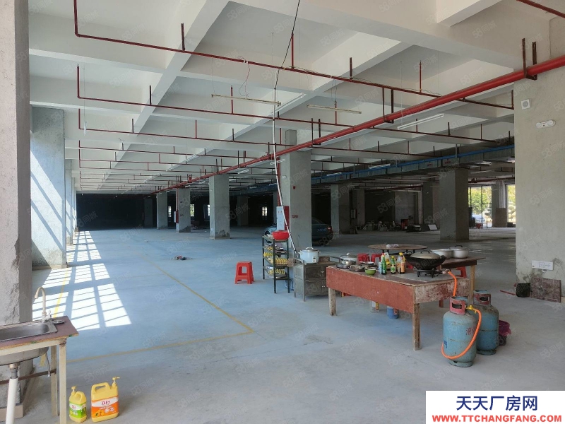 (出租) 花都花東金田工業區永光村廠房倉庫出租全新證件齊全