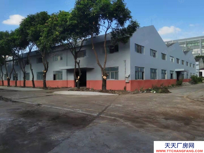 (出租) 花都區工業區廠房倉庫空地大低價出租