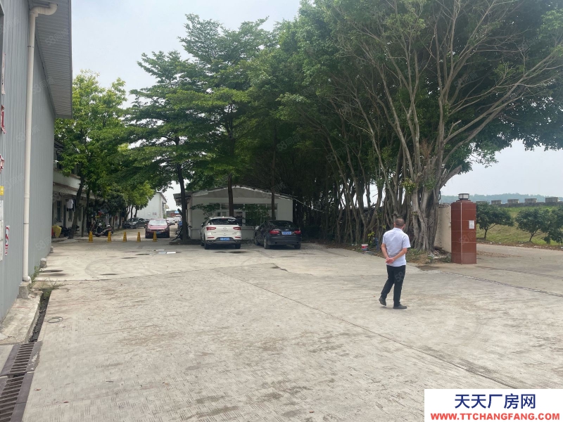 (出租) 花都獅嶺鎮金獅大道東單層倉庫廠房,現低價轉讓出租