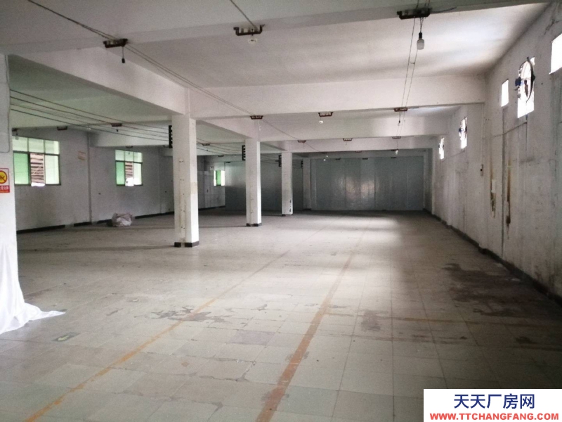 重慶大渡口萬達(dá)廣場對面建橋工業(yè)園A區(qū)廠房倉庫出租