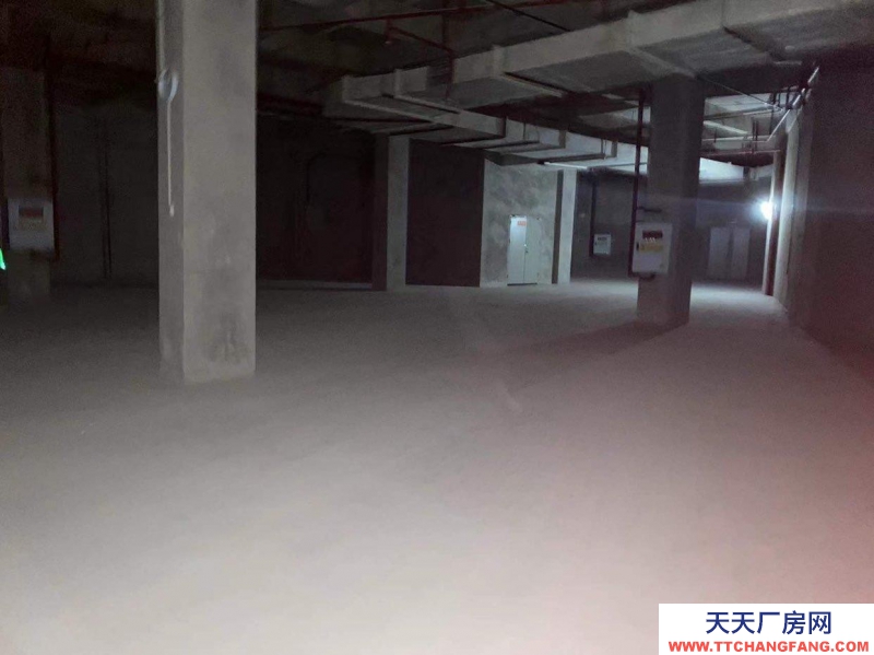 重慶大渡口區(qū)金家灣附近倉庫，500到3000平可拆分，中介勿擾