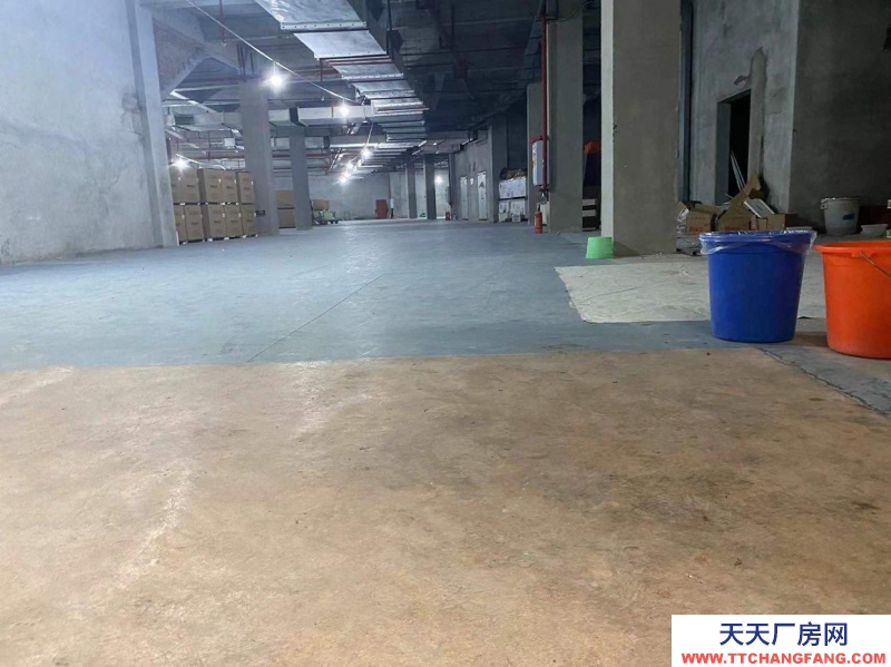 重慶大渡口區金家灣附近倉庫，500到3000平可拆分，中介勿擾