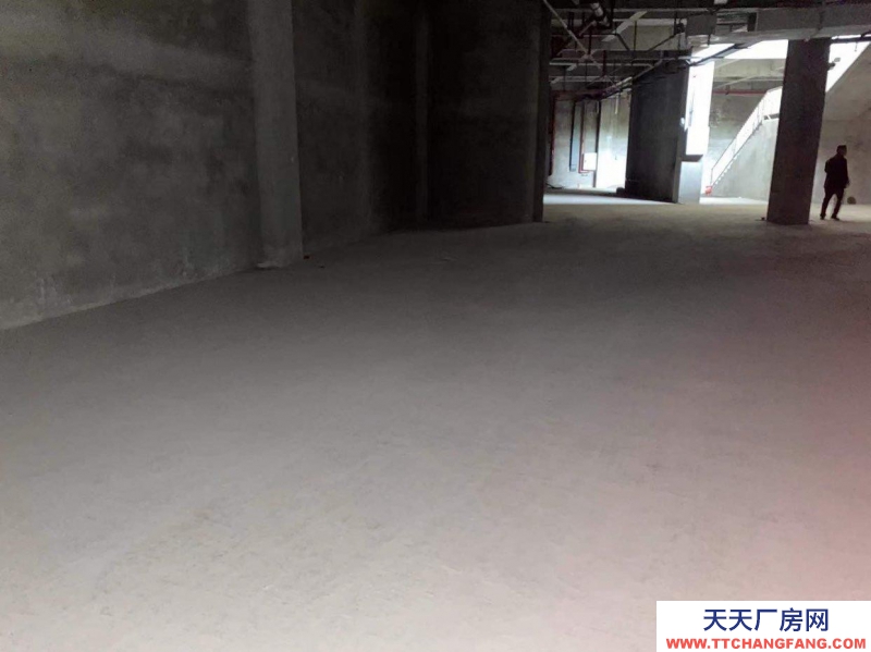 重慶大渡口區金家灣附近倉庫，500到3000平可拆分，中介勿擾