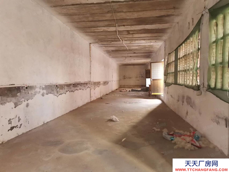 石家莊 正定縣 三角村獨(dú)院庫房出租