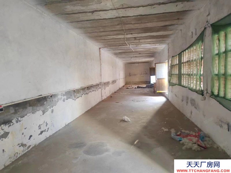 石家莊 正定縣 三角村獨(dú)院庫房出租