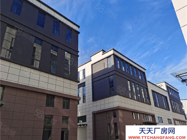 南京市浦口區稀版 二層半獨棟獨享私人空間 生產辦公研發一體 現房直招