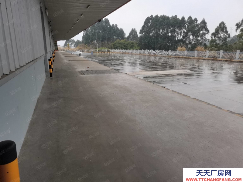 重慶江津珞璜標準倉庫12000平出租(可分零)