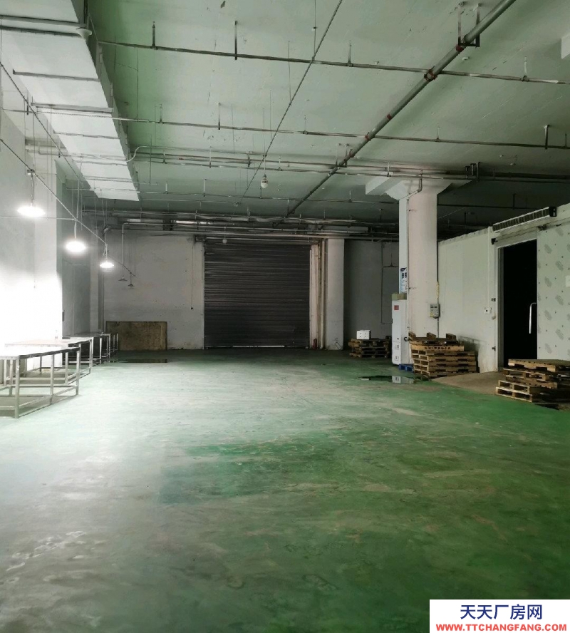 重慶江津場地面積共1000平方，其中包含冷庫面積350平方！