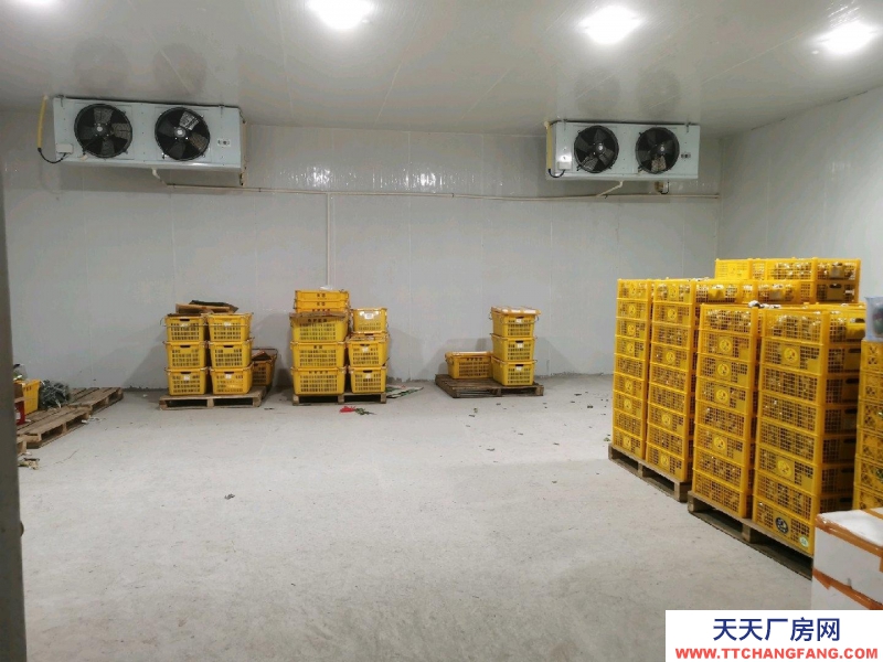 重慶江津場地面積共1000平方，其中包含冷庫面積350平方！