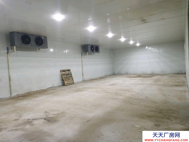 重慶江津場地面積共1000平方，其中包含冷庫面積350平方！