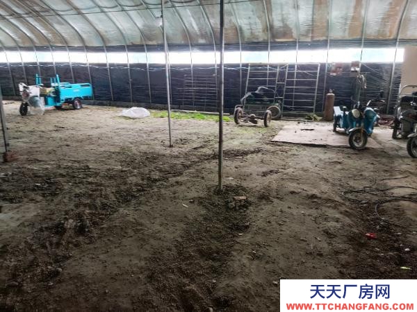 南京浦口區江北新區雙城路附近倉庫場地