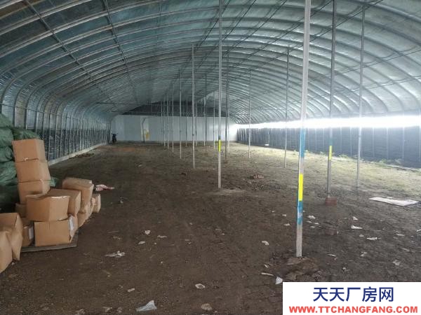 南京浦口區江北新區雙城路附近倉庫場地