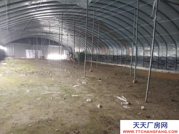 南京浦口區江北新區雙城路附近倉庫場地