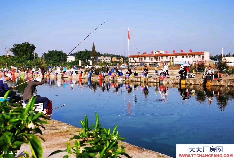 重慶銅梁農業園100畝可種養殖，做農莊，可做廠房倉庫