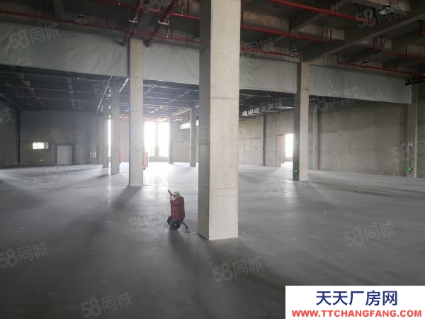 南京市棲霞龍潭獨門獨院全新廠房35000平可分組交通方便