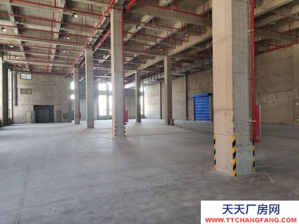 南京市棲霞龍?zhí)丢?dú)門(mén)獨(dú)院全新廠房35000平可分組交通方便