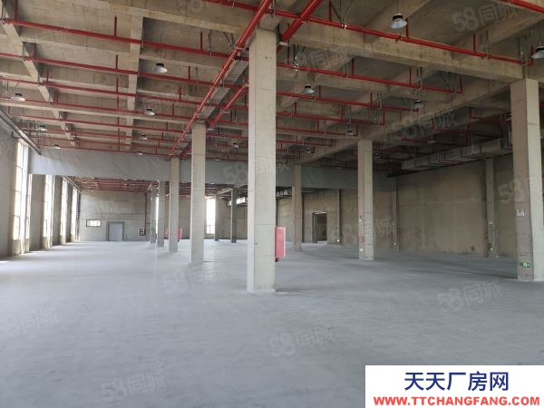 南京市棲霞龍?zhí)丢?dú)門(mén)獨(dú)院全新廠房35000平可分組交通方便