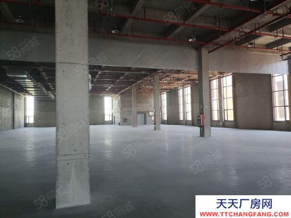 南京市棲霞龍?zhí)丢?dú)門(mén)獨(dú)院全新廠房35000平可分組交通方便