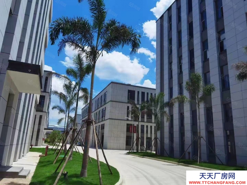 南寧市西鄉(xiāng)塘區(qū)(出租) 安吉臨街獨棟廠房出租,可做無塵潔凈車間,配套餐廳,交通便利