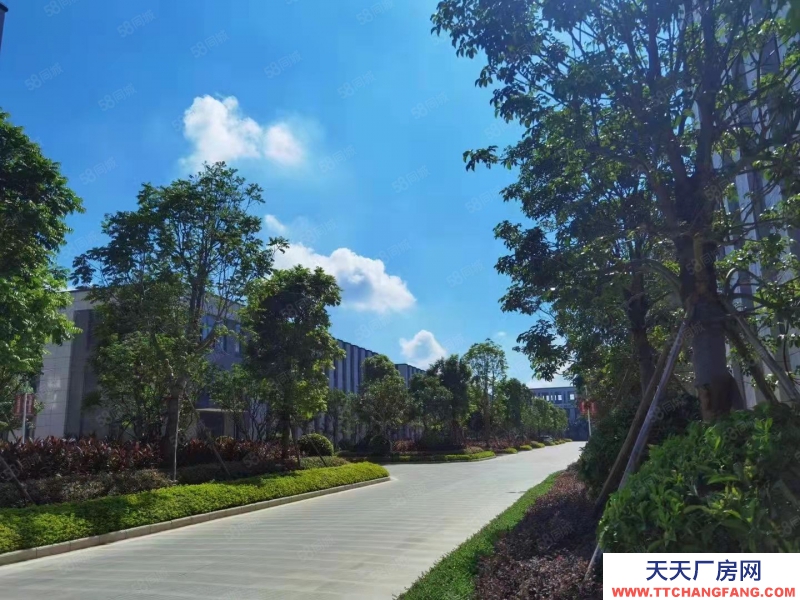 南寧市西鄉(xiāng)塘區(qū)(出租) 安吉臨街獨棟廠房出租,可做無塵潔凈車間,配套餐廳,交通便利