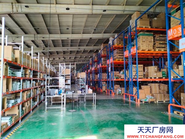 南京市棲霞新港12000平獨門獨院。全單層鋼架結構有航車