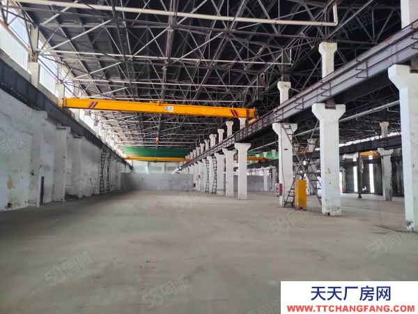 南京市棲霞新港12000平獨(dú)門獨(dú)院。全單層鋼架結(jié)構(gòu)有航車