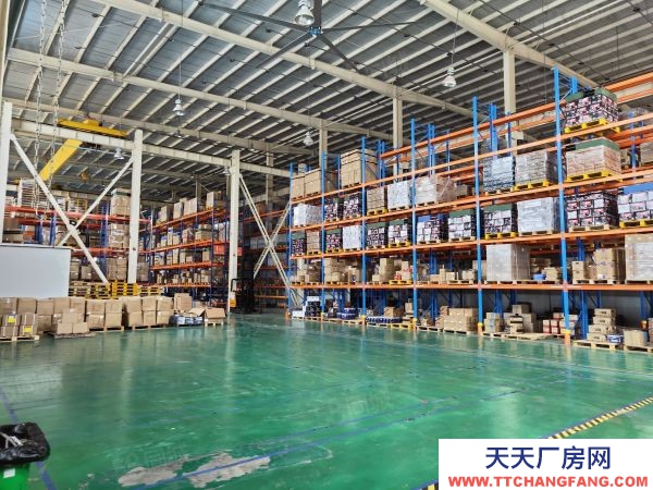 南京市棲霞新港12000平獨門獨院。全單層鋼架結構有航車